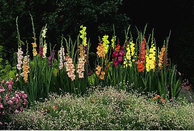 Fami通新一周销量榜 《马力欧派对：超级巨星》登顶